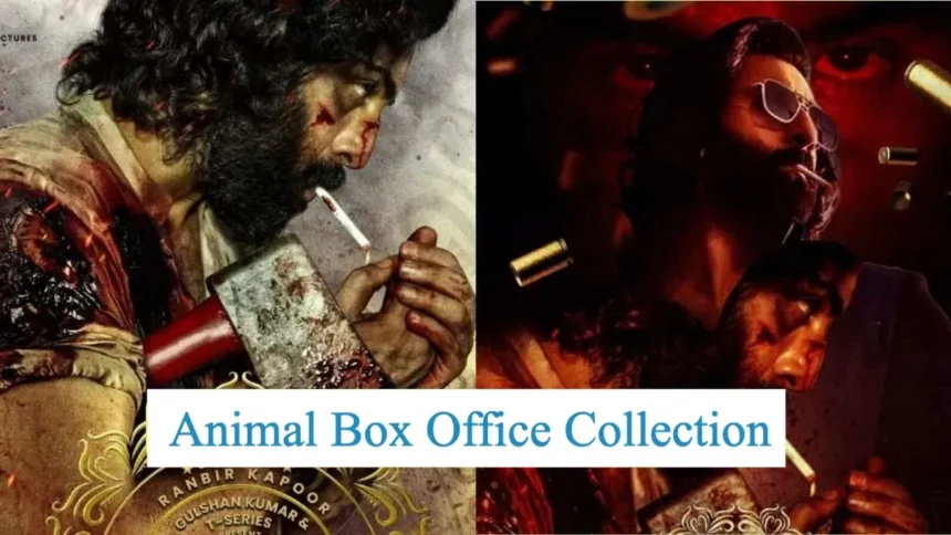 Animal Box Office Collection